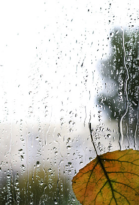 秋天雨水滴玻璃抽象背景