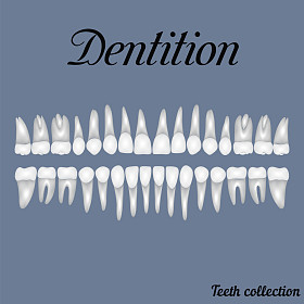 闭包的牙齿图片