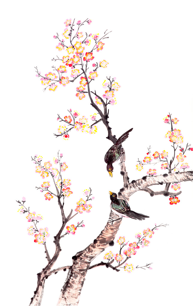 中国传统绘画的梅花 中国传统绘画的梅花