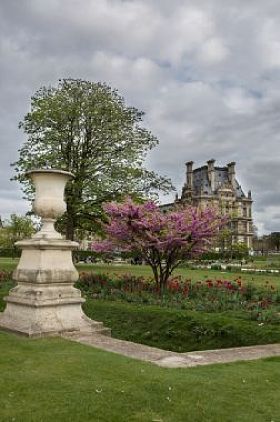 查看对罗浮宫从杜乐丽花园图片