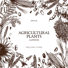 使用植物草图进行设计