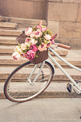 复古女孩 bicyclewith 花在篮子