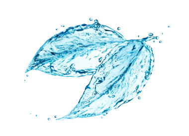 葉，水濺圖片