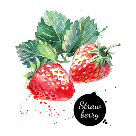 手绘水彩绘画草莓