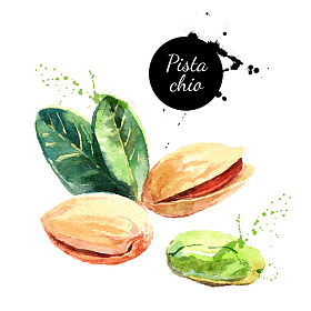 手画的水彩画螺母图片