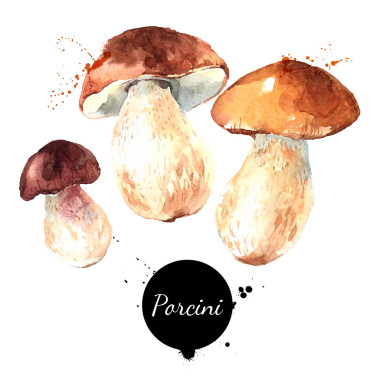 生態(tài)自然食物