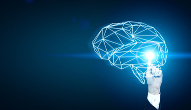 人繪制多面體大腦