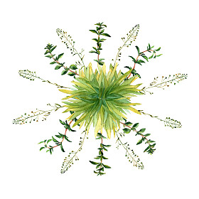 手工水彩花卉背景