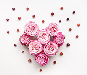 心符号由玫瑰和白色背景上的叶子