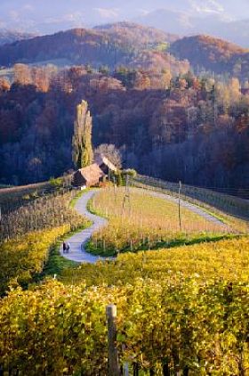 斯洛文尼亚的心