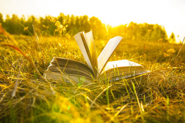 已打開的書，在秋日的田野圖片