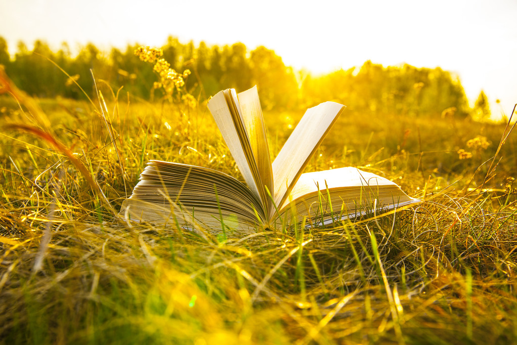 已打开的书，在秋日的田野图片