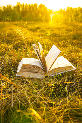 已打开的书，在秋日的田野图片
