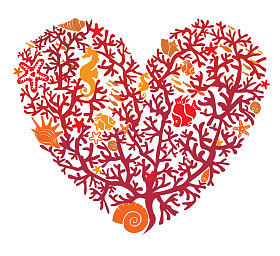 心是用珊瑚、 孤立在白色背景上