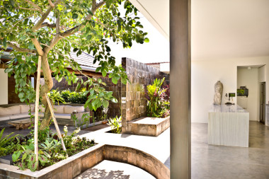 在花園里的樹木與室外露臺區(qū)