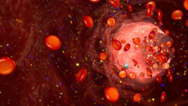 血流量的影响容器图片