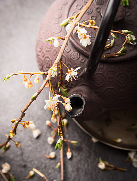 茉莉花洒了的绿茶