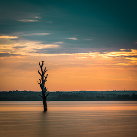 金日出和湖图片
