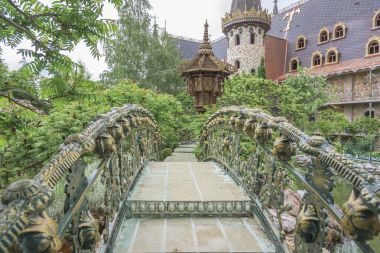 美丽的池塘和行人天桥.照片