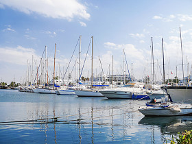 海港口 El 坞，突尼斯。很多游艇停泊码头