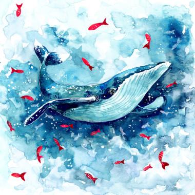 水彩的魔術(shù)鯨魚(yú)圖片
