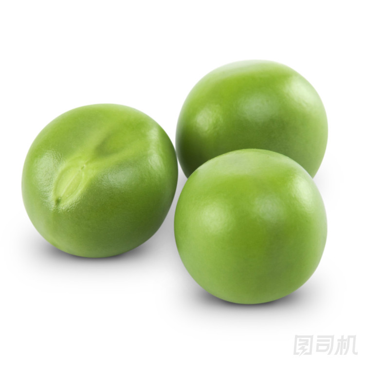 鮮豆照片