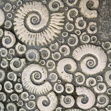 亚扪人在莱姆里吉斯图片