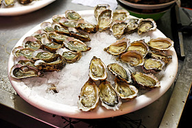 牡蛎图片