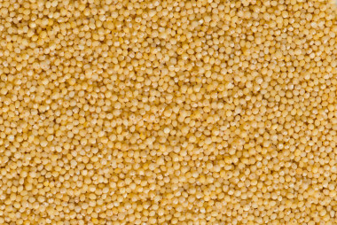 去殼的小米背景