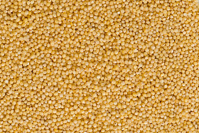 去壳的小米背景