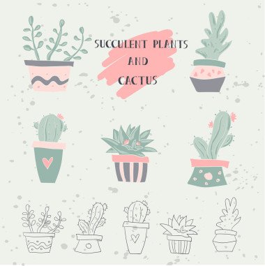 手画的仙人掌及多肉植物