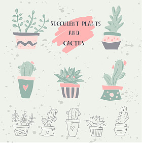 手画的仙人掌及多肉植物