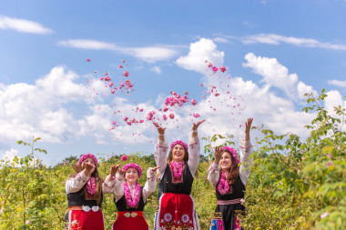 把玫瑰扔在空氣中圖片