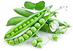 吊舱的绿豌豆用叶子图片