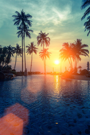 棕榈树在沙滩上图片