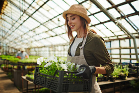 与白色矮牵牛的园丁图片