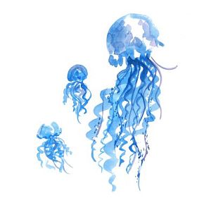 孤立的蓝色水母水彩插图。手工画颜料
