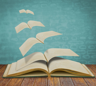 打開飛行老書圖片