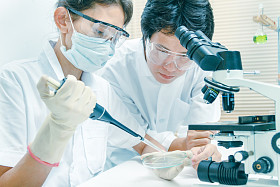 (科学） 科学家是实验性科学的某些活动