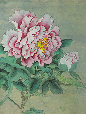 温柔细腻的牡丹花