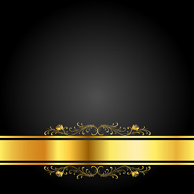 豪华木炭和黄金图书封面图片