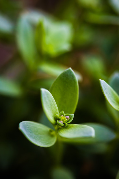 宏的沿海工厂的照片图片