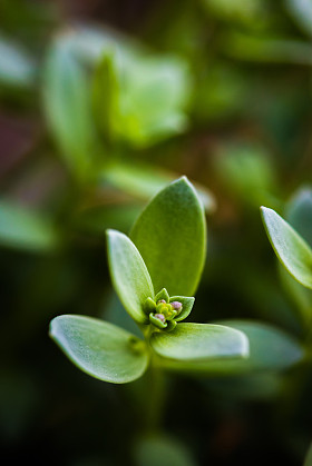 宏的沿海工厂的照片图片