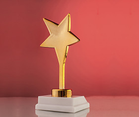 空金明星奖 照片