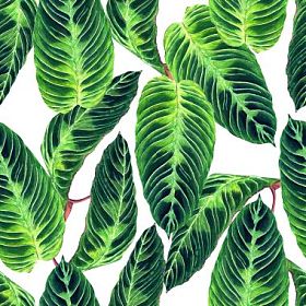 无缝热带花卉图案