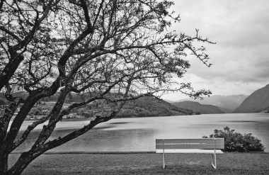 黑色和白色的風(fēng)景