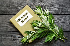 艾属和名录药用植物