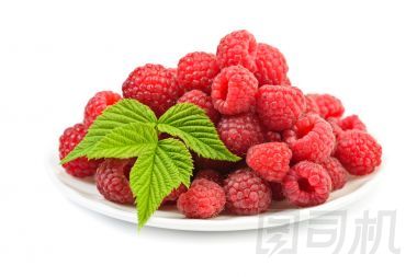 成熟莓葉圖片