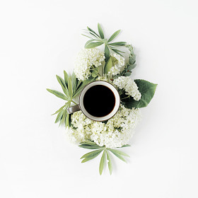 杯子和白色绣球花花束图片