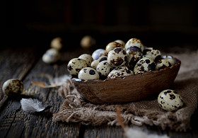 有机新鲜鹌鹑蛋